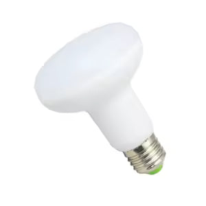 LED  R50  4.8 SES CWSC