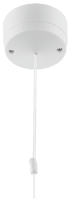 ELECTRICAL  6A 2W CEILING SW