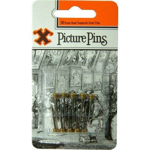 Blued Shanks X Brass Head Picture Pins