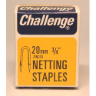 NAILS  Staples Netting  - Zinc Plated (Box Pack) 3/4"